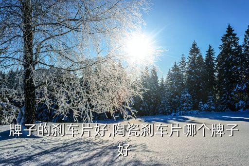 哪个牌子的刹车片好,陶瓷刹车片哪个牌子好?