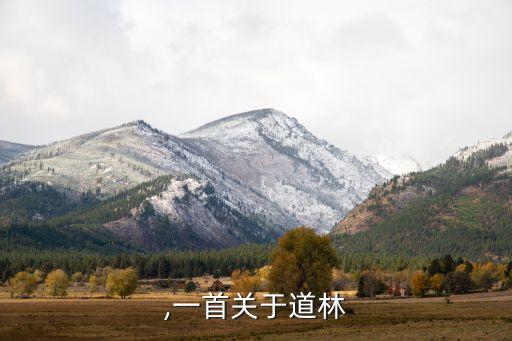 ,一首关于道林