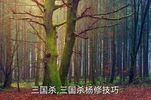 杨修三国杀,三国杀杨修技巧