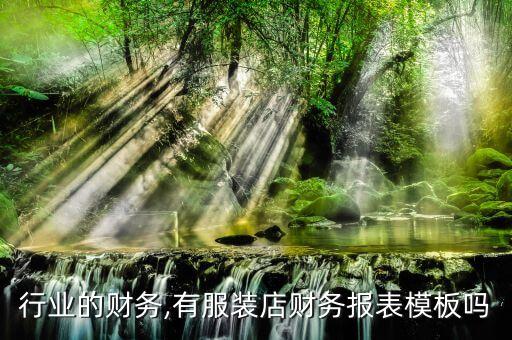 行业的财务,有服装店财务报表模板吗