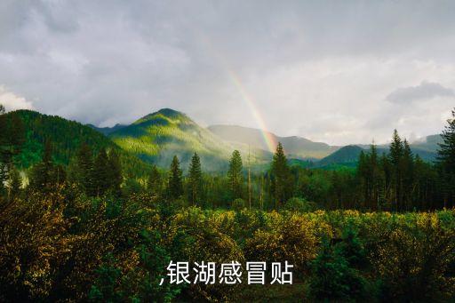 银湖,银湖感冒贴