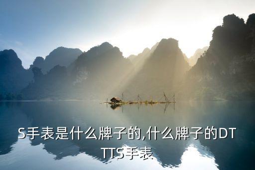S手表是什么牌子的,什么牌子的DTTTS手表