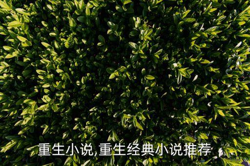 重生小说,重生经典小说推荐
