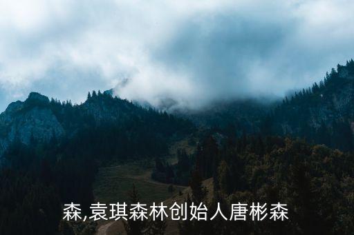唐彬森,袁琪森林创始人唐彬森