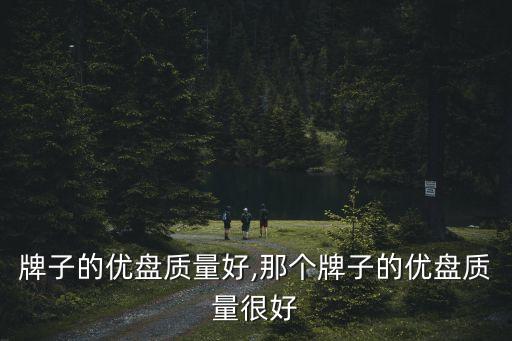哪个牌子的优盘质量好,那个牌子的优盘质量很好