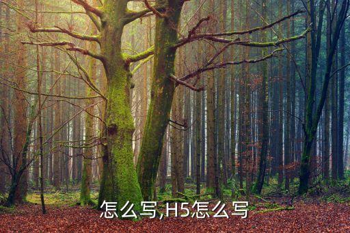 h5怎么写,H5怎么写?