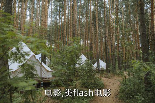 电影,类flash电影