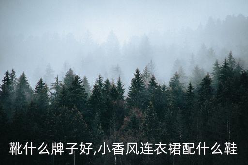 及踝靴什么牌子好,小香风连衣裙配什么鞋?