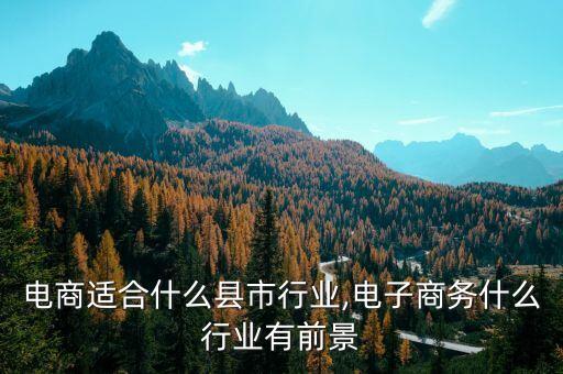 农村电商适合什么县市行业,电子商务什么行业有前景?