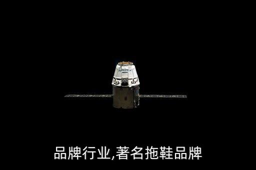 品牌行业,著名拖鞋品牌