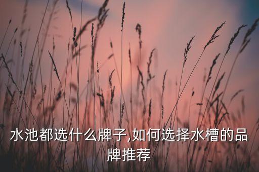 厨房水池都选什么牌子,如何选择水槽的品牌推荐