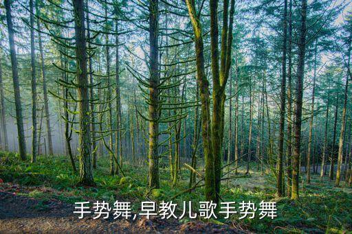 手势舞,早教儿歌手势舞