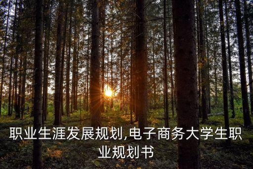 电商职业生涯发展规划,电子商务大学生职业规划书
