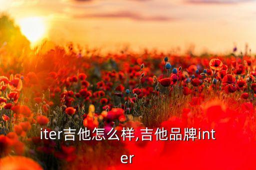 iter吉他怎么样,吉他品牌inter