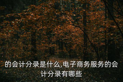 的会计分录是什么,电子商务服务的会计分录有哪些