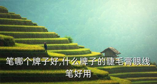 笔哪个牌子好,什么牌子的睫毛膏眼线笔好用