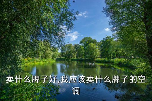 微伤卖什么牌子好,我应该卖什么牌子的空调?