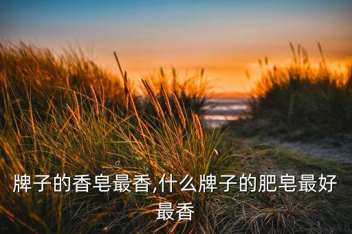 牌子的香皂最香,什么牌子的肥皂最好最香