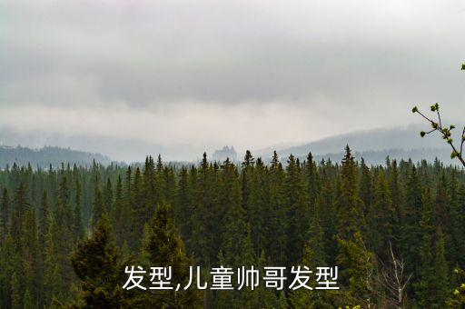 发型,儿童帅哥发型