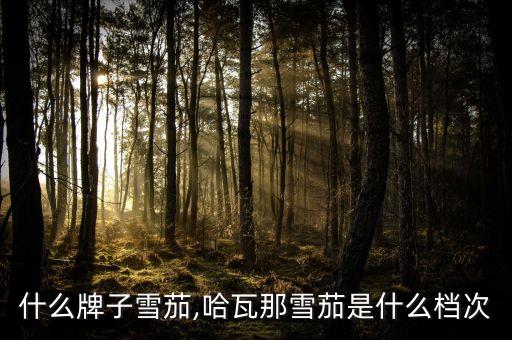 什么牌子雪茄,哈瓦那雪茄是什么档次