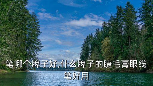 笔哪个牌子好,什么牌子的睫毛膏眼线笔好用