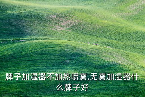 什么牌子加湿器不加热喷雾,无雾加湿器什么牌子好?