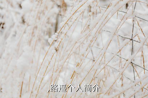 路玲,路遥个人简介