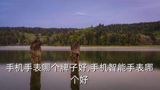 手机手表哪个牌子好,手机智能手表哪个好