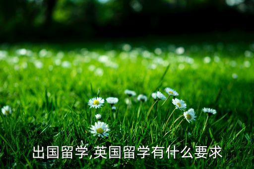 英国出国留学,英国留学有什么要求?