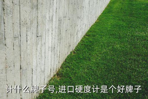 硬度计什么牌子号,进口硬度计是个好牌子