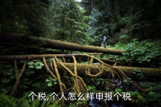 个税,个人怎么样申报个税