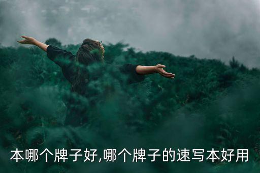 素写本哪个牌子好,哪个牌子的速写本好用?