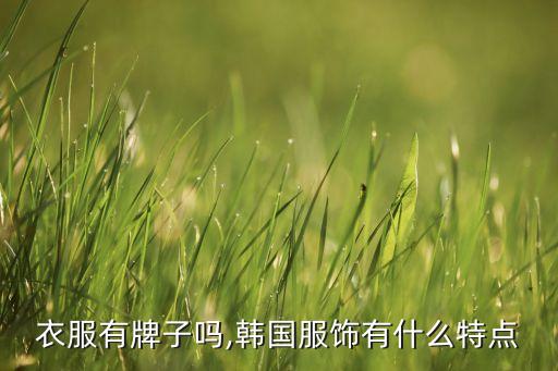 韩潮衣服有牌子吗,韩国服饰有什么特点?