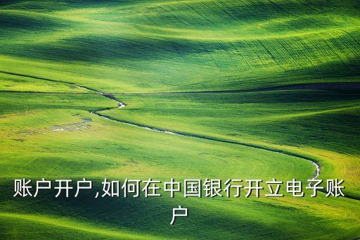 账户开户,如何在中国银行开立电子账户