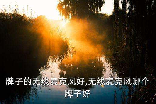 什么牌子的无线麦克风好,无线麦克风哪个牌子好?