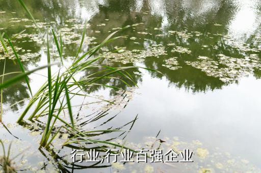 百强 行业,行业百强企业