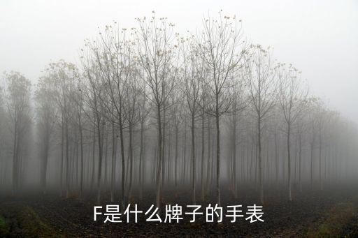 F是什么牌子的手表