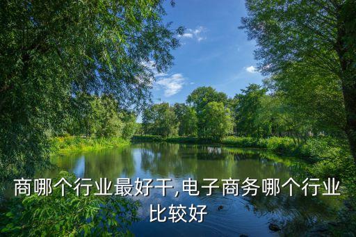 商哪个行业最好干,电子商务哪个行业比较好