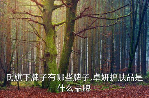 氏旗下牌子有哪些牌子,卓妍护肤品是什么品牌