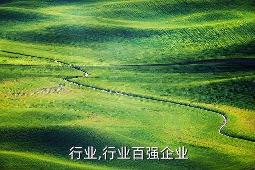  行业,行业百强企业