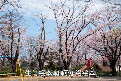 十二生肖绘本,如何介绍绘本