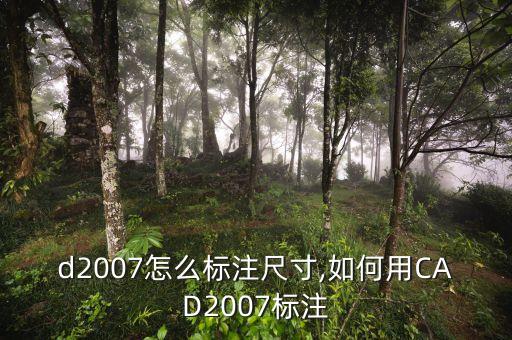 d2007怎么标注尺寸,如何用CAD2007标注