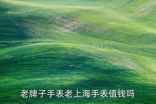 老牌子手表老上海手表值钱吗
