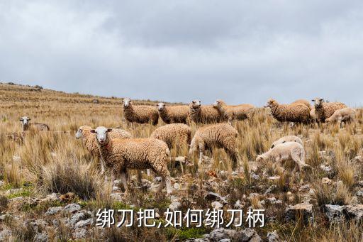 怎么绑刀把,如何绑刀柄