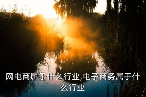 互联网电商属于什么行业,电子商务属于什么行业?