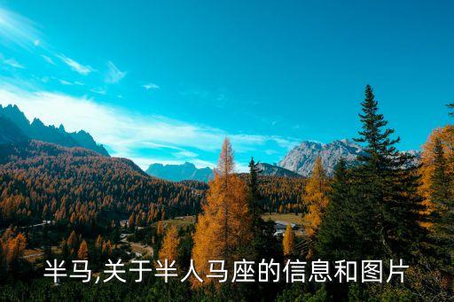 半人半马,关于半人马座的信息和图片