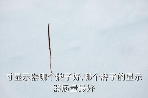 寸显示器哪个牌子好,哪个牌子的显示器质量最好