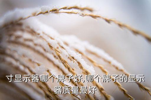 34寸显示器哪个牌子好,哪个牌子的显示器质量最好?