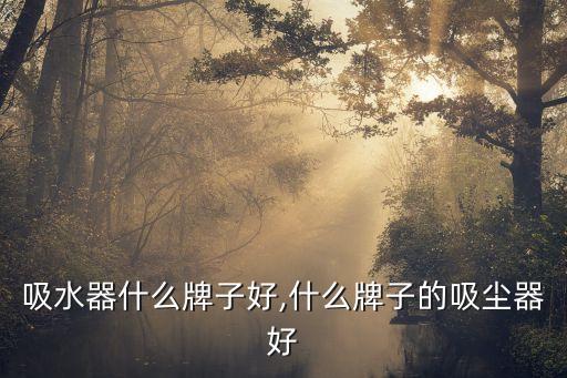 电动吸水器什么牌子好,什么牌子的吸尘器好?