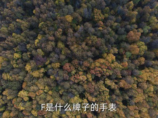 F是什么牌子的手表